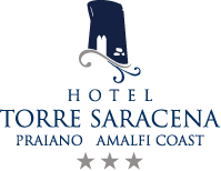 logo hoteltorresaracena 2 - Reference